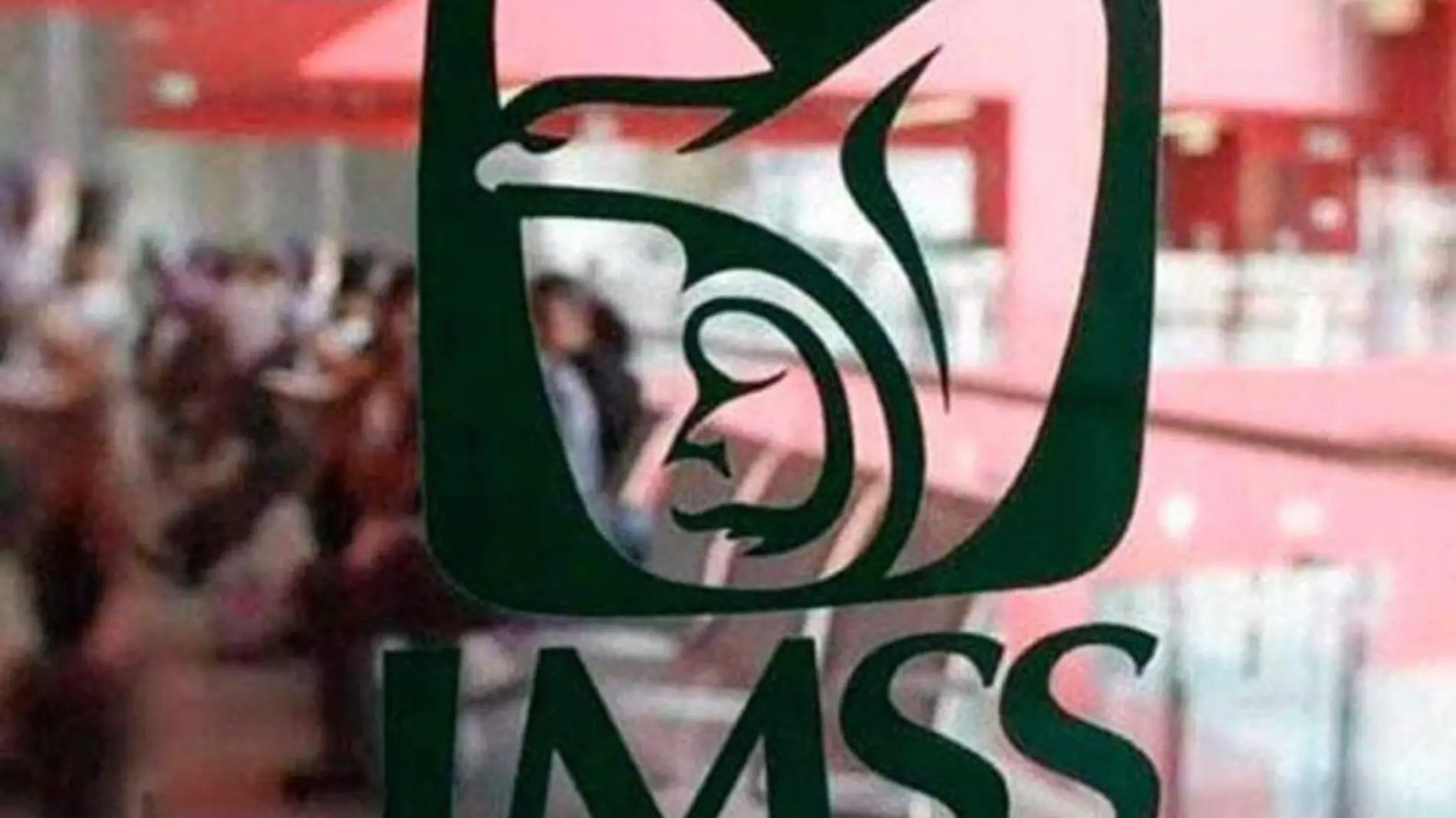 imss 2